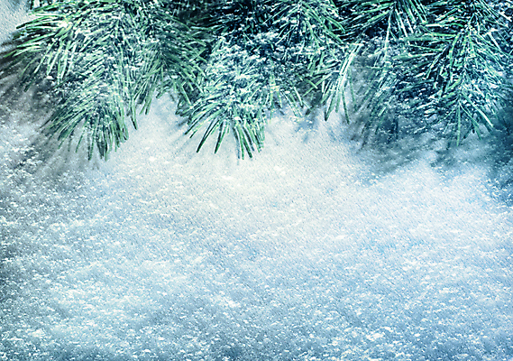 포토 JPG 해외이미지 나무 전통 디자인 계절 백그라운드 크리스마스 겨울 표면 휴가 기념 사람없음 장식 초록색 빛 컬러풀 얼음 축제 추위 나뭇가지 축하 신선 눈송이 12월 크리스탈 연도 서리 전나무 가문비나무 해외202004 해외포토 자연요소 식물 기념일 컬러 컨셉 눈_날씨 날짜 광석 파일형식 이미지허브