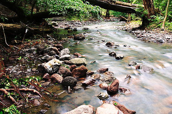 포토 JPG 해외이미지 나무 식물 공원 야생동물 백그라운드 잎 모션 자연 풍경 사람없음 야외 초록색 물 여름 강 환경 힘 봄 산책 폭포 흐름 추위 바위 나뭇가지 개울 떨어짐 매끈함 소프트포커스 숲 시원함 실크 속도 장면 무한 해외202004 해외포토 자연요소 동물 계절 공공시설 컬러 컨셉 휴식 촬영기법 돌_바위 직물 감각 생태계 파일형식 이미지허브