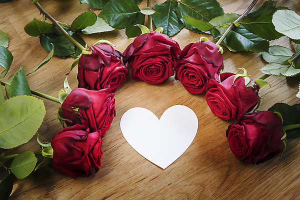 포토 JPG 해외이미지 기념일 꽃 꽃다발 결혼 백그라운드 탁자 휴가 발렌타인데이 선물 사랑 사람없음 목재 장식 빨간색 장미 우주 흰색 하트 마음 축하 인사 생일 무료 해외202004 해외포토 모양 나무 식물 감정 컬러 가구 컨셉 재료 데이이벤트 이벤트 예절 파일형식 이미지허브