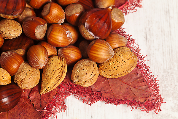 포토 JPG 해외이미지 계절 음식 백그라운드 다이어트 과일 사람없음 갈색 견과류 가을 혼합 유기농 아몬드 모음 스파이크 내추럴 단백질 개암 해외202004 해외포토 웰빙 열매 컬러 건강 한글 영양소 파일형식 이미지허브