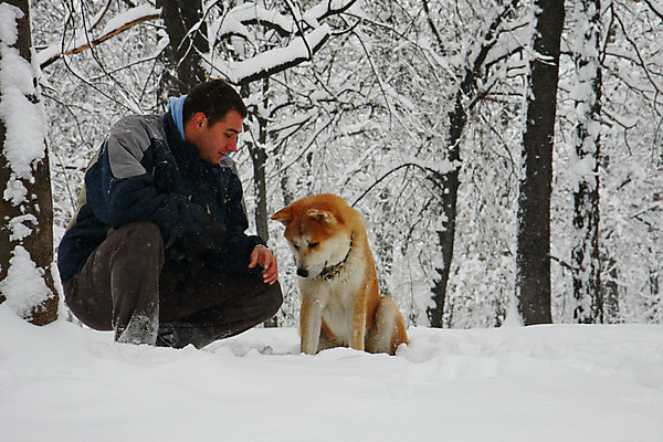 포토 JPG 해외이미지 주간 전신 남자 반려견 겨울 휴식 한명 앉기 성인 야외 옆모습 산책 눈 강아지 웅크림 성인남자한명만 해외202004 아키타견 해외포토 자연요소 1 계절 뷰포인트 컨셉 모션 날씨 사람 반려동물 개 남자한명만 성인남자만 파일형식 이미지허브
