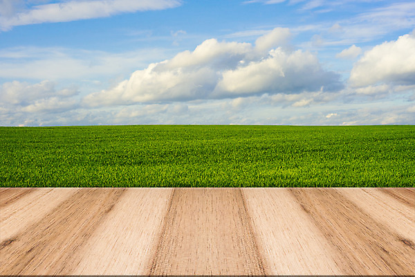 포토 JPG 해외이미지 구름 템플릿 디자인 포스터 백그라운드 밭 자연 탁자 하늘 날씨 바닥 사람없음 야외 목재 초록색 여름 파란색 맑음 덮개 최고 신용카드 널 갑판 레이아웃 페이지 수평선 해외202004 해외포토 자연요소 나무 계절 컬러 가구 농업 배_교통 재료 금융 뚜껑 생태계 파일형식 이미지허브