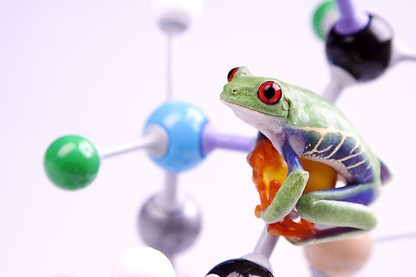 포토 JPG 해외이미지 아이콘 산업 과학 패턴 일러스트 공 실험 사람없음 빨간색 초록색 파란색 빛 컴퓨터 컬러풀 노란색 우주 보라색 에너지 흰색 그리기 실험실 DNA 생명공학 연결 결합 만화 제비꽃 생물학 원자 엘리먼트 화학물질 화학자 더스트파티클 해외202004 해외포토 교육 꽃 컬러 무늬 의학 모션 전자제품 화학 과학자 파일형식 이미지허브