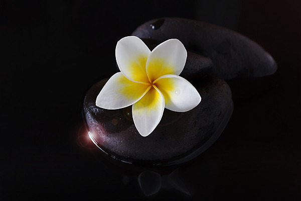 포토 JPG 해외이미지 꽃 백그라운드 자연 불꽃 그림자 사람없음 물 빛 햇빛 노란색 우주 검은색 어둠 조약돌 흰색 향기 지역 해외202004 해외포토 자연요소 식물 컬러 불 태양 돌_바위 생태계 냄새 파일형식 이미지허브