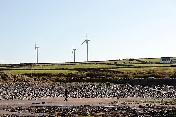 포토 JPG 해외이미지 모래 바다 여행 자연 하늘 아침 휴가 건강 풍경 사람없음 초록색 물 파란색 반짝임 달리기 조깅 운동 햇빛 평화 힘 새벽 추위 잡초 해조류 덮기 암초 아일랜드 다시마 서쪽 헤드랜드 해외202004 해외포토 주간 자연요소 식물 유럽 컬러 컨셉 모션 태양 해양식물 방향 생태계 파일형식 이미지허브