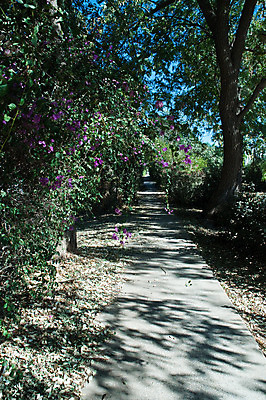 포토 JPG 해외이미지 나무 식물 구름 계절 공원 길 여행 잎 건축양식 자연 하늘 그림자 풍경 잔디 사람없음 야외 건물 목재 초록색 여름 갈색 환경 정원 침묵 봄 가을 램프 도시 숲 땅 장면 설정 내추럴 해외202004 해외포토 자연요소 건축물 공공시설 건축 컬러 재료 조명 소리 생태계 파일형식 이미지허브