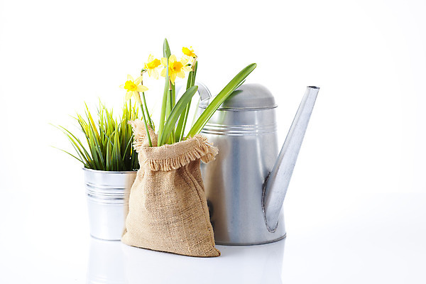 포토 JPG 해외이미지 나무 식물 계절 꽃 화분 장갑 잎 농업 자연 부츠 씨앗 사람없음 목재 노란색 정원 흙 장비 공구 모종삽 삽 허브 물주기 원예 수선화 로즈메리 갈퀴 돌봄 세이지 해외202004 해외포토 잡화 산업 컬러 신발 재료 모션 취미 도구 생태계 파일형식 이미지허브