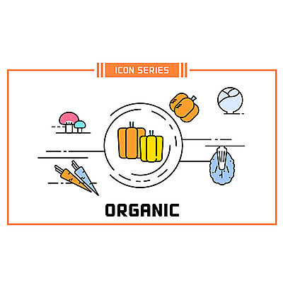 채소 일러스트 호박 피망 사람없음 버섯 당근 다양 배추 유기농 국내일러스트 AI파일 웰빙 다수 뿌리채소 파일형식 벡터