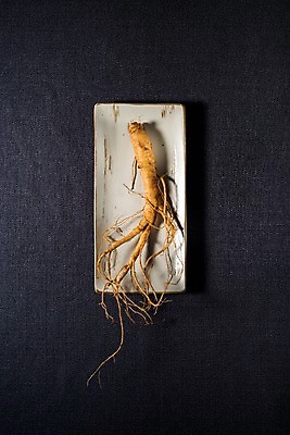 포토 JPG 스튜디오촬영 접시 한식 실내 건강 사람없음 여름 인삼 보양식 국내포토 식기 계절 음식 내부 삼 몸보신 파일형식