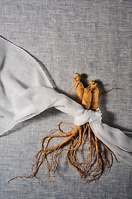 포토 JPG 스튜디오촬영 한식 실내 건강 사람없음 여름 인삼 묶기 천 보양식 국내포토 계절 음식 모션 내부 직물 삼 몸보신 파일형식