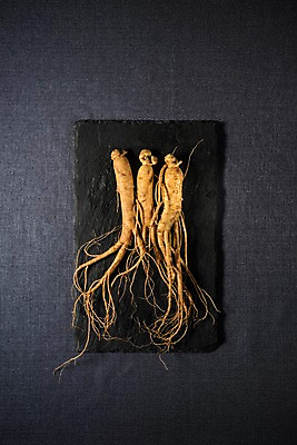 포토 JPG 스튜디오촬영 접시 한식 실내 건강 사람없음 여름 인삼 보양식 국내포토 식기 계절 음식 내부 삼 몸보신 파일형식