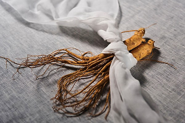 포토 JPG 스튜디오촬영 한식 실내 건강 사람없음 여름 인삼 묶기 천 보양식 국내포토 계절 음식 모션 내부 직물 삼 몸보신 파일형식