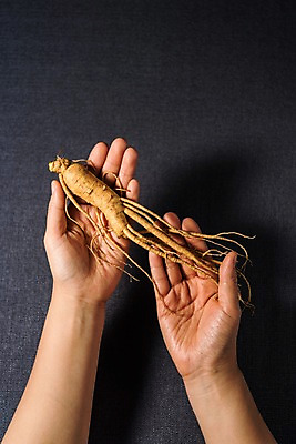 포토 JPG 스튜디오촬영 손 한식 실내 건강 들기 신체부위 여름 인삼 보양식 국내포토 계절 음식 모션 사람 내부 삼 몸보신 파일형식