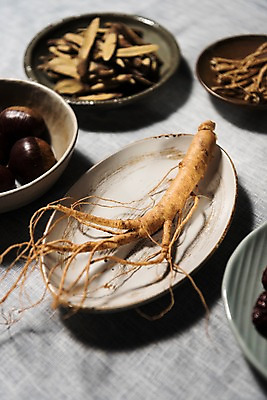 포토 JPG 스튜디오촬영 접시 한식 식재료 여름음식 실내 건강 사람없음 여름 인삼 밤 대추 보양식 삼계탕 감초 황기 제철음식 국내포토 식기 계절 음식 내부 견과류 한약재 삼 몸보신 제철 파일형식 여름_계절