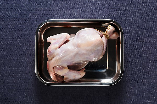 포토 JPG 스튜디오촬영 한식 식재료 여름음식 실내 건강 사람없음 여름 보양식 삼계탕 생닭 제철음식 국내포토 계절 음식 내부 닭 몸보신 제철 파일형식 여름_계절