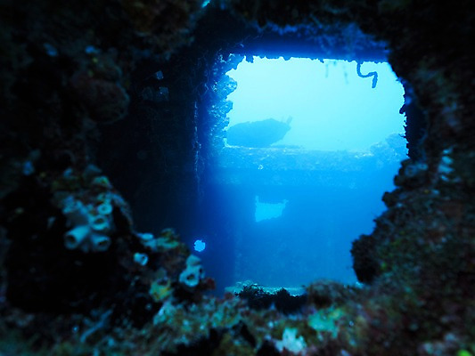 포토 JPG 바다 자연 사람없음 바닷속 구멍 난파선 국내포토 배_교통 수중 생태계 파일형식