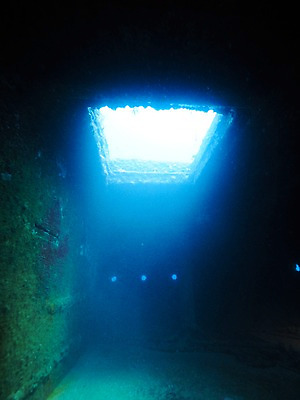 포토 JPG 바다 자연 사람없음 빛 바닷속 난파선 국내포토 배_교통 수중 생태계 파일형식