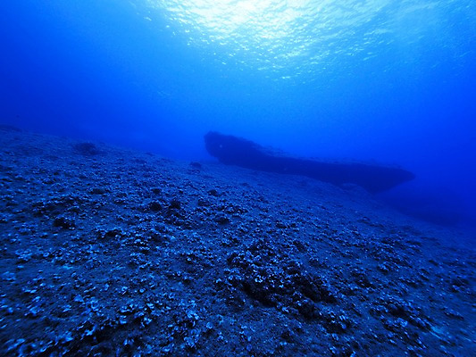 포토 JPG 바다 자연 사람없음 바닷속 난파선 국내포토 배_교통 수중 생태계 파일형식