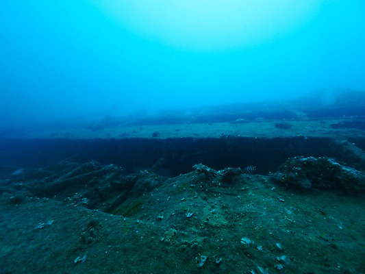 포토 JPG 바다 자연 사람없음 바닷속 난파선 국내포토 배_교통 수중 생태계 파일형식