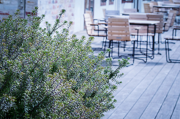 포토 JPG 주간 나무 의자 탁자 거리풍경 사람없음 야외 아웃포커스 노천카페 국내포토 자연요소 식물 가구 거리 촬영기법 풍경 카페 파일형식