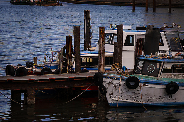 포토 JPG 주간 바다 풍경 사람없음 야외 항구 어선 국내포토 자연요소 배_교통 교통시설 파일형식