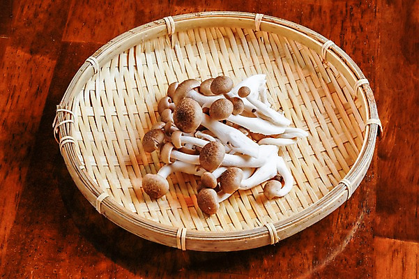 포토 JPG 음식 식재료 사람없음 광주리 버섯 국내포토 바구니 파일형식