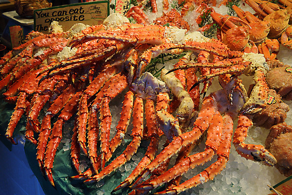 포토 JPG 음식 식재료 사람없음 얼음 해산물 재래시장 대게 어시장 국내포토 자연요소 게 시장 파일형식