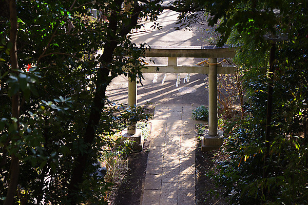 포토 JPG 주간 나무 출입구 풍경 사람없음 야외 일본 사찰 숲 일본건축 토리이 국내포토 자연요소 식물 아시아 종교건축 동양건축 신사 파일형식