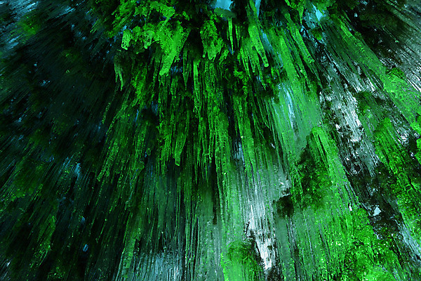 포토 JPG 백그라운드 자연 풍경 사람없음 야외 얼음 동굴 고드름 국내포토 자연요소 생태계 파일형식