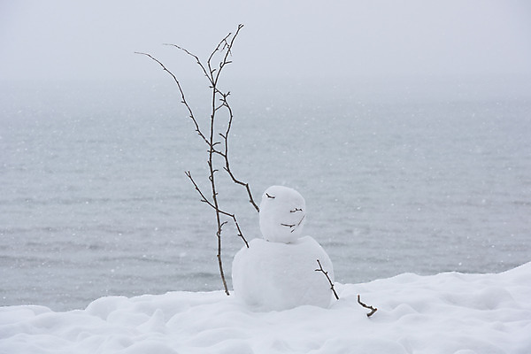 포토 JPG 주간 바다 설경 겨울 자연 눈사람 풍경 사람없음 야외 나뭇가지 눈 겨울풍경 국내포토 자연요소 나무 계절 날씨 생태계 파일형식