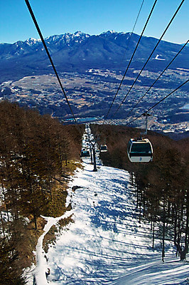 포토 JPG 주간 나무 설경 겨울 자연 스키장 산 풍경 사람없음 야외 눈 숲 케이블카 겨울풍경 국내포토 자연요소 식물 계절 날씨 생태계 파일형식