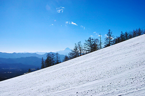 포토 JPG 주간 나무 구름 설경 겨울 자연 하늘 산 풍경 경사 사람없음 야외 눈 겨울풍경 국내포토 자연요소 식물 계절 날씨 생태계 파일형식