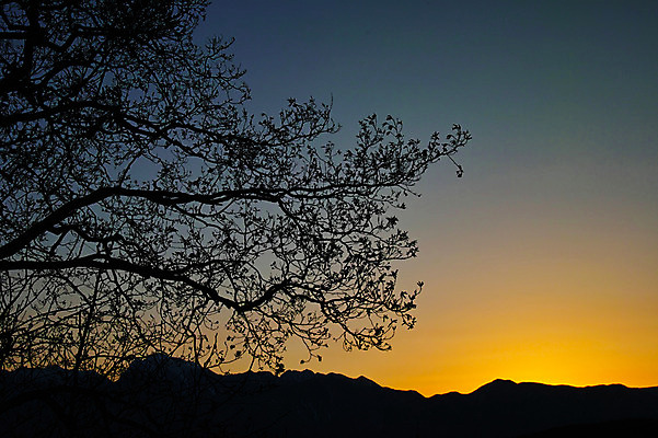 포토 JPG 실루엣 자연현상 자연 하늘 산 풍경 사람없음 야외 노을 일몰 나뭇가지 국내포토 자연요소 나무 촬영기법 생태계 파일형식