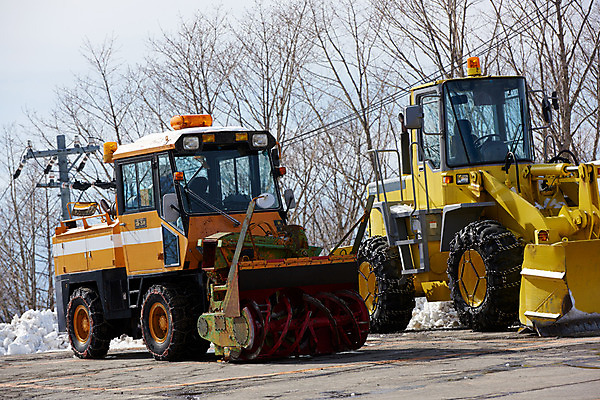 포토 JPG 주간 나무 겨울 자연 풍경 사람없음 야외 눈 제설 제설기 겨울풍경 국내포토 자연요소 식물 계절 날씨 생태계 파일형식