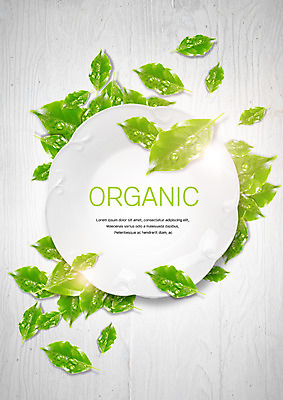 PSD 편집 편집이미지 접시 나뭇잎 프레임 사람없음 물방울 유기농 원형프레임 이미지편집 식기 웰빙 잎 원형 파일형식