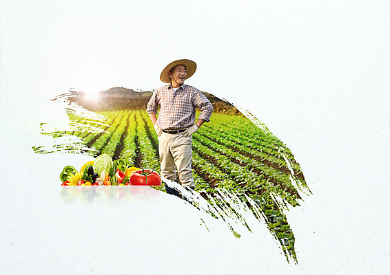 PSD 편집 편집이미지 직업 응시 남자 밭 토마토 캘리그라피 피망 바나나 한명 서기 웃음 성인 농사 한국인 60대 농부 배추 밀짚모자 노인남자한명만 이미지편집 모자_잡화 1 시선 노년 농업 채소 과일 모션 표정 사람 동양인 남자한명만 노인남자만 파일형식