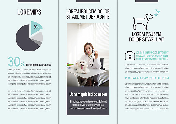 템플릿 표지디자인 북디자인 출판디자인 여자 내지 리플렛 북커버 3단접지 청진기 그래프 한명 팜플렛 성인 30대 진료 한국인 개 구급상자 동물병원 수의사 반려 이미지템플릿 AI파일 1 포유류 의학 의료기기 병원 사람 동양인 장년 의사 의료용품 파일형식 벡터