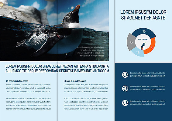 템플릿 표지디자인 북디자인 출판디자인 내지 야생동물 리플렛 바다 북커버 3단접지 그래프 팜플렛 사람없음 자연보호 환경 그린캠페인 환경보전 펭귄 동물보호 지구온난화 이미지템플릿 AI파일 동물 캠페인 자연 조류 보호 사회이슈 기후변화 파일형식 벡터