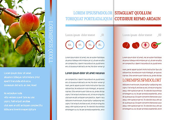 템플릿 표지디자인 북디자인 출판디자인 열매 내지 리플렛 북커버 과일 3단접지 그래프 팜플렛 사람없음 나뭇가지 복숭아 복사나무 이미지템플릿 AI파일 나무 식물 파일형식 벡터