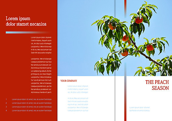 템플릿 표지디자인 북디자인 출판디자인 열매 표지 리플렛 북커버 과일 3단접지 나뭇잎 팜플렛 사람없음 복숭아 복사나무 이미지템플릿 AI파일 나무 식물 잎 파일형식 벡터