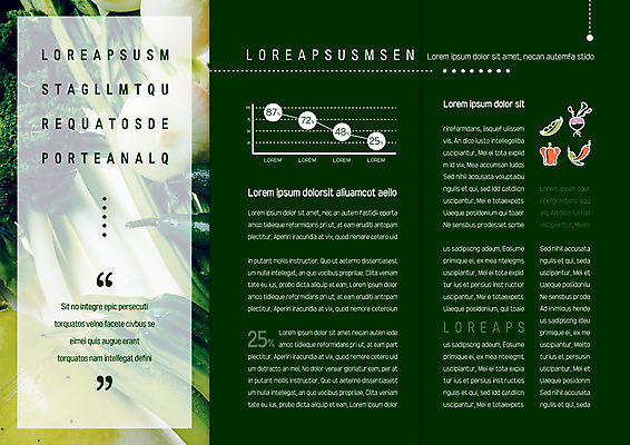 템플릿 표지디자인 북디자인 출판디자인 내지 리플렛 북커버 식재료 3단접지 고추 호박 양파 그래프 피망 파슬리 팜플렛 사람없음 무 완두콩 샐러리 이미지템플릿 AI파일 채소 콩 뿌리채소 파일형식 벡터