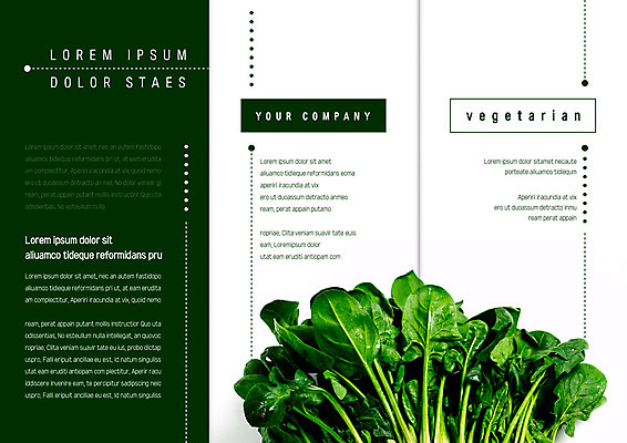 템플릿 표지디자인 북디자인 출판디자인 표지 리플렛 채소 북커버 식재료 3단접지 팜플렛 사람없음 시금치 이미지템플릿 AI파일 파일형식 벡터