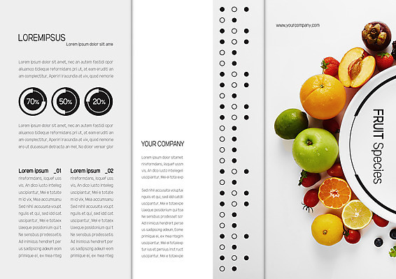 템플릿 표지디자인 북디자인 출판디자인 표지 리플렛 북커버 오렌지 과일 3단접지 방울토마토 딸기 그래프 귤 팜플렛 사람없음 사과 레몬 블루베리 복숭아 청사과 라임 망고스틴 이미지템플릿 AI파일 토마토 파일형식 벡터