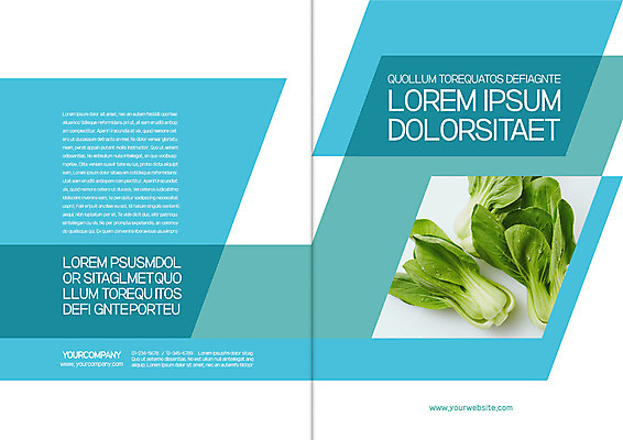 템플릿 표지디자인 북디자인 출판디자인 내지 리플렛 채소 북커버 팜플렛 사람없음 청경채 이미지템플릿 AI파일 파일형식 벡터