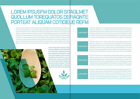 템플릿 표지디자인 북디자인 출판디자인 표지 리플렛 북커버 팜플렛 사람없음 숟가락 허브 이미지템플릿 AI파일 식물 수저 파일형식 벡터