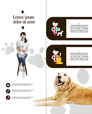 PSD 템플릿 표지디자인 북디자인 출판디자인 여자 남자 내지 리플렛 2단접지 북커버 의자 웃음 앉기 팜플렛 20대 성인 한국인 리트리버 개발자국 반려 스피치 이미지템플릿 가구 모션 표정 사람 동양인 청년 개 발자국 파일형식