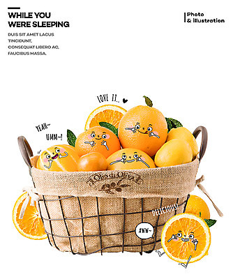 PSD 편집이미지 오렌지 포토일러 귤 표정 사람없음 여러개 레몬 참외 과일바구니 이미지편집 다수 과일 바구니 파일형식