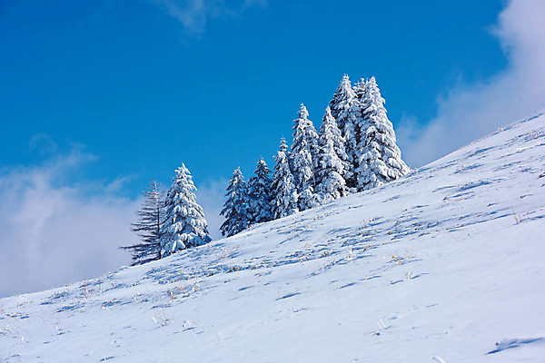 포토 JPG 주간 나무 구름 설경 겨울 자연 하늘 풍경 경사 사람없음 야외 일본 눈 겨울풍경 국내포토 자연요소 식물 계절 아시아 날씨 생태계 파일형식