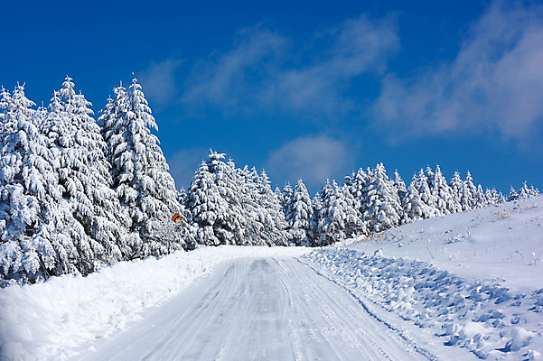 포토 JPG 주간 나무 구름 설경 겨울 자연 하늘 풍경 사람없음 야외 일본 눈 숲 오르막 겨울풍경 국내포토 자연요소 식물 계절 아시아 날씨 생태계 파일형식