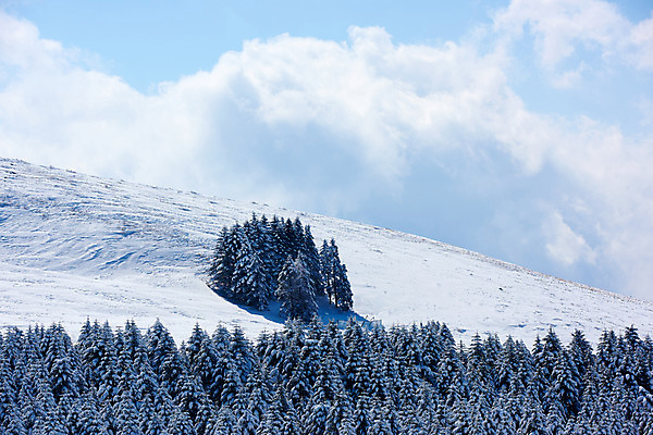 포토 JPG 주간 나무 구름 설경 겨울 자연 하늘 산 풍경 사람없음 야외 일본 눈 숲 겨울풍경 국내포토 자연요소 식물 계절 아시아 날씨 생태계 파일형식